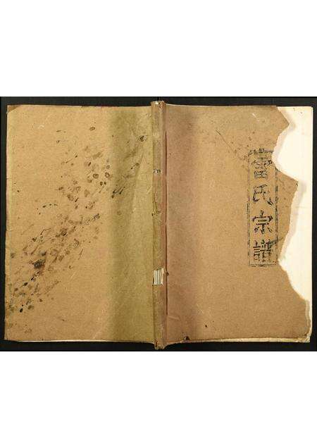 福建雷氏族谱-雷氏宗谱.pdf电子版缩略图