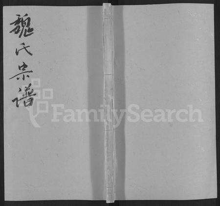 安徽魏氏族谱-魏氏宗谱 [残卷].pdf电子版缩略图