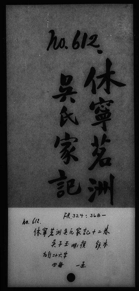 安徽吴氏族谱-休宁茗洲吴氏家记 [12卷].pdf电子版缩略图