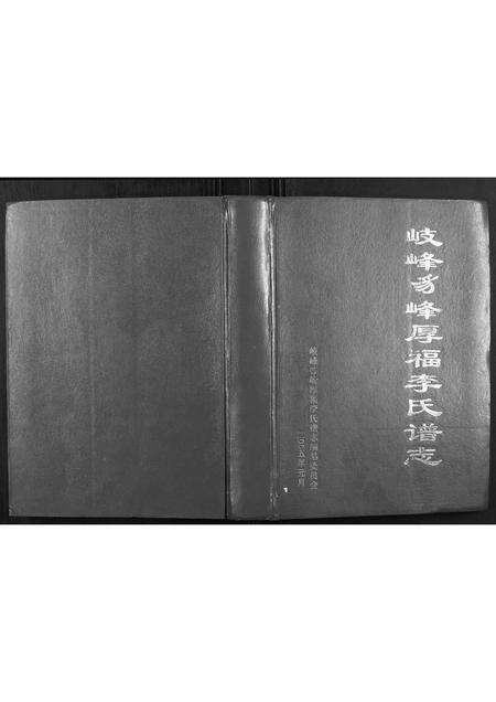 福建李氏族谱-岐峰豸峰厚福李氏谱志.pdf电子版缩略图