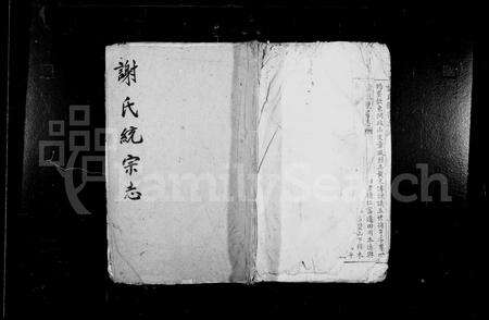 安徽谢氏族谱-谢氏统宗志 [1卷].pdf电子版缩略图