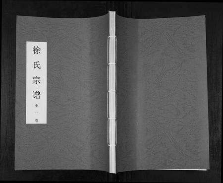 安徽徐氏族谱-徐氏宗谱.pdf电子版缩略图