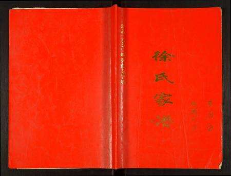 安徽徐氏族谱-徐氏家谱.pdf电子版缩略图