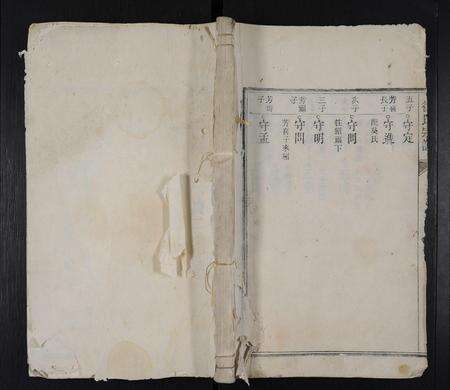 安徽徐氏族谱-徐氏宗谱 [残卷].pdf电子版缩略图