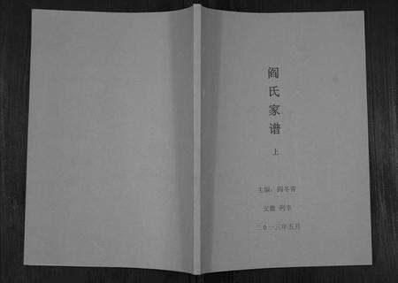 安徽阎氏族谱-阎氏家谱.pdf电子版缩略图