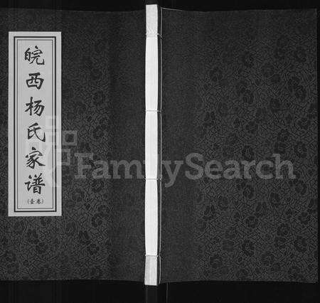 安徽杨氏族谱-皖西杨氏家谱 [3卷].pdf电子版缩略图