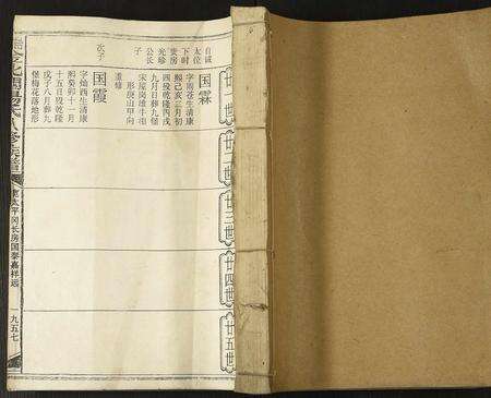 江西杨氏族谱-瑞金北关杨氏八修族谱.pdf电子版缩略图