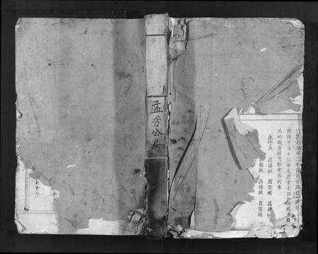 江西应氏族谱-汝南应氏八修族谱.pdf电子版缩略图