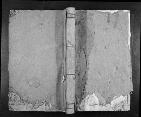 江西袁氏族谱-袁氏十修族谱[不分卷].pdf电子版缩略图