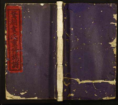 江西袁氏族谱-鹜湖袁氏重修宗谱.pdf电子版缩略图