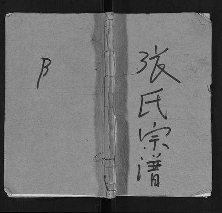 安徽张氏族谱-张氏宗谱.pdf电子版缩略图