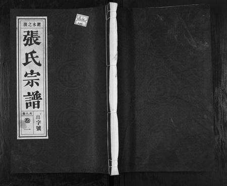 安徽张氏族谱-张氏宗谱.pdf电子版缩略图