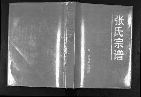 安徽张氏族谱-张氏宗谱.pdf电子版缩略图