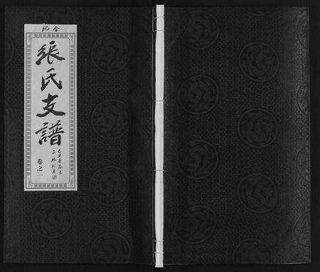 安徽张氏族谱-张氏宗谱.pdf电子版缩略图