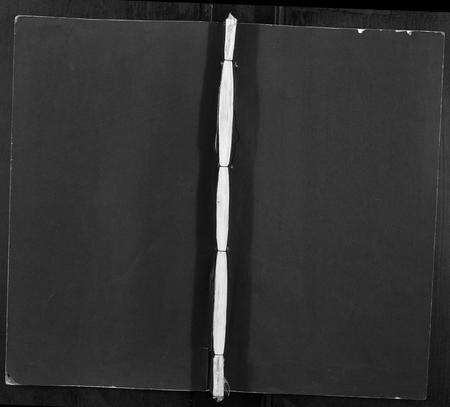 安徽张氏族谱-张氏宗谱[不分卷].pdf电子版缩略图