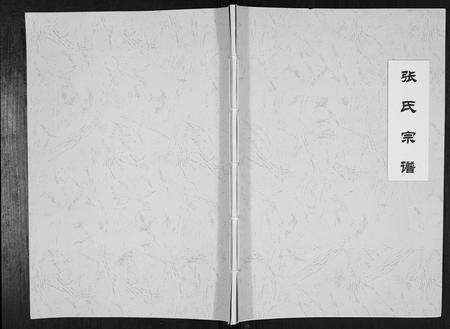 安徽张氏族谱-张氏宗谱[不分卷].pdf电子版缩略图