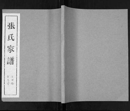 安徽张氏族谱-张氏家谱.pdf电子版缩略图