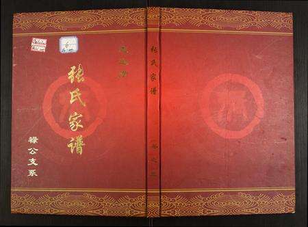 安徽张氏族谱-张氏家谱禄公支系.pdf电子版缩略图