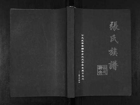 安徽张氏族谱-张氏族谱.pdf电子版缩略图
