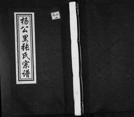 安徽张氏族谱-杨公里张氏宗谱.pdf电子版缩略图