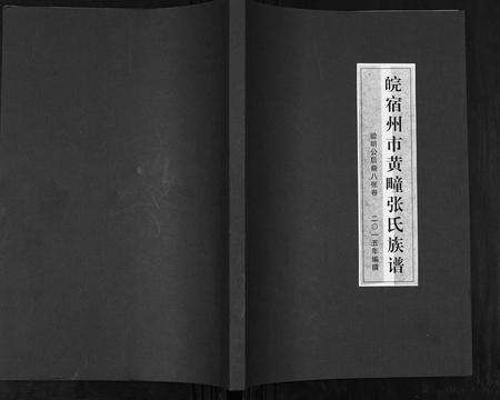 安徽张氏族谱-皖宿州市黄疃张氏族谱.pdf电子版缩略图