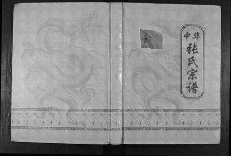 江西张氏族谱-中华张氏族谱.pdf电子版缩略图