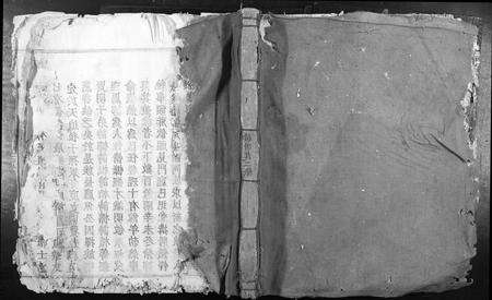 江西张氏族谱-南安四邑张续修族谱[不分卷].pdf电子版缩略图