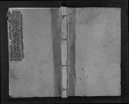 江西张氏族谱-吉丰张氏重修族谱[不分卷].pdf电子版缩略图