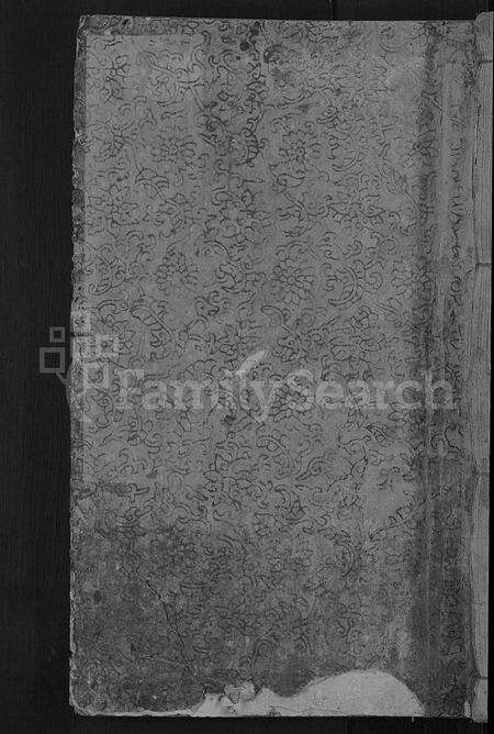 江西张氏族谱-围田上张氏族谱 [残卷].pdf电子版缩略图