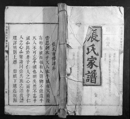 江西张氏族谱-宁都张氏重修房谱.pdf电子版缩略图