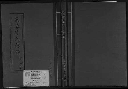 福建李氏族谱-芙蓉李氏族谱.pdf电子版缩略图