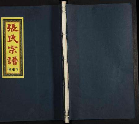 江西张氏族谱-清河张氏宗谱.pdf电子版缩略图