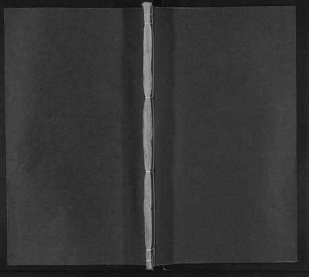 江西郑氏族谱-郑氏支谱 [3卷].pdf电子版缩略图