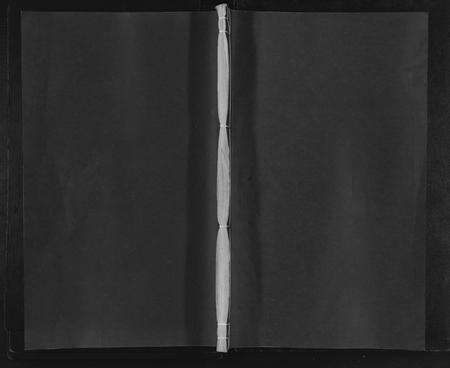 江西郑氏族谱-灵峰郑氏宗谱 [1卷].pdf电子版缩略图