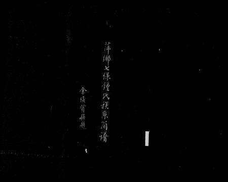 江西锺氏族谱-萍乡七保锺氏族系简谱.pdf电子版缩略图