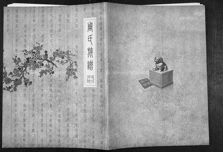 安徽周氏族谱-周氏族谱[不分卷].pdf电子版缩略图