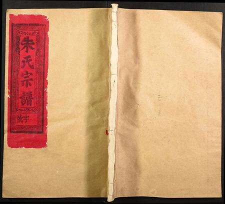 江西朱氏族谱-沛国朱氏宗谱.pdf电子版缩略图