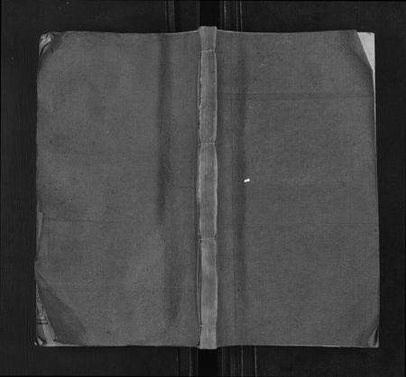 福建李氏族谱-陇西李氏族谱[27卷首1卷].pdf电子版缩略图