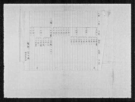 安徽左氏族谱-安徽无为左氏世系表.pdf电子版缩略图