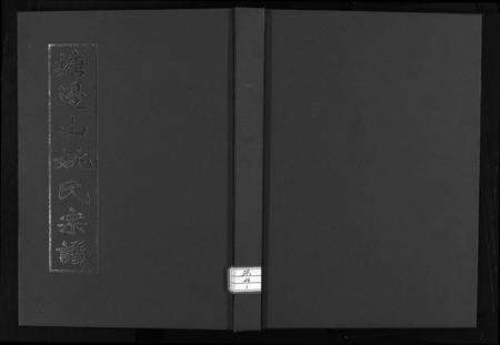 安徽姚氏族谱-塘边山姚氏宗谱 [不分卷].pdf电子版缩略图