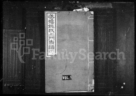 安徽姚氏族谱-武担姚氏上门支谱 [3卷,首末各1卷](歙南武担姚氏支谱).pdf电子版缩略图