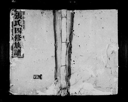 江西张氏族谱-兴邑半迳张氏四修家谱.pdf电子版缩略图