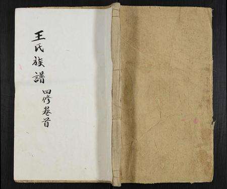 安徽王氏族谱-王氏族谱 [12卷,首末各1卷].pdf电子版缩略图