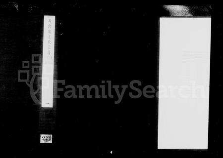 安徽王氏赵氏族谱-武陵赵王氏宗谱 [8卷,首末各1卷].pdf电子版缩略图