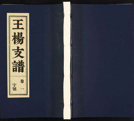 安徽王杨氏族谱-王杨支谱.pdf电子版缩略图