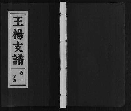 安徽王杨氏族谱-王杨支谱[13卷首末各1卷].pdf电子版缩略图