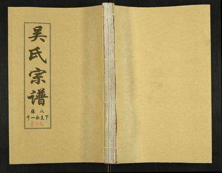 安徽吴氏族谱-吴氏宗谱.pdf电子版缩略图