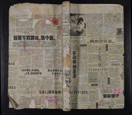 安徽夏氏族谱-夏氏宗谱 [54卷].pdf电子版缩略图