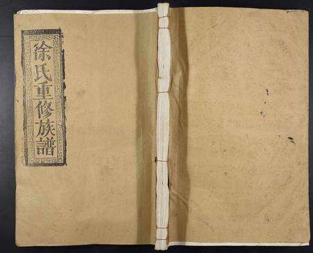 江西徐氏族谱-檀陂天井徐氏宗谱[不分卷].pdf电子版缩略图