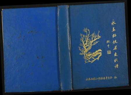 福建梁氏族谱-永春梅镜梁氏族谱.pdf电子版缩略图